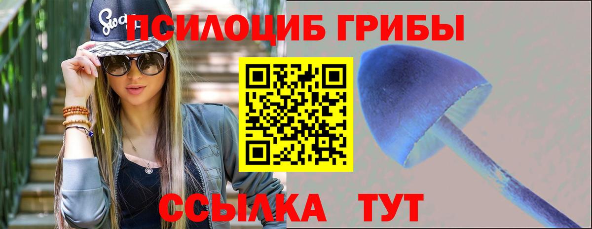 Галлюциногенные грибы прущие грибы  Вход с VPN  Каменка 